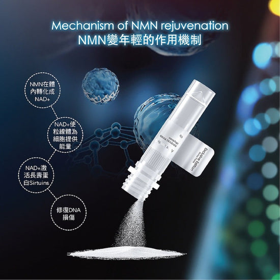 Andre Dermes - Advanced Wrinkle Lifting Booster Powder (Tightening, Reduce Wrinkle, Skin Elasticity, Skin Rejuvenation) (e3g*10 bottles per box) AD001 - Beauty Online™ 肌齡喜源™